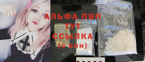 индика Рославль