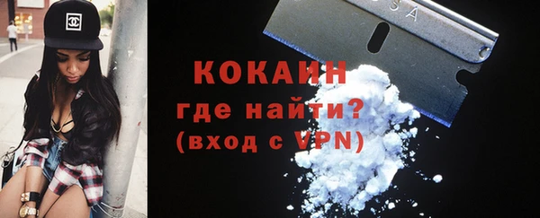 стаф Алзамай