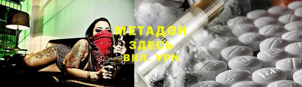 стаф Алзамай
