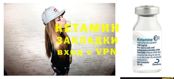 стаф Алзамай