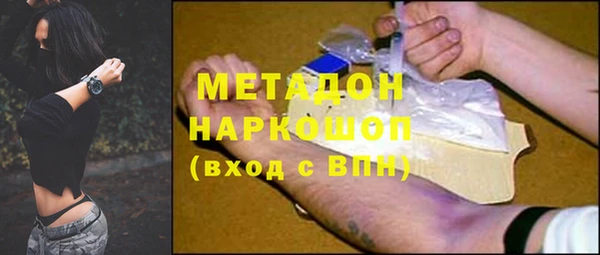 стаф Алзамай