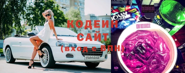 стаф Алзамай